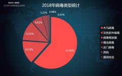 2018年中国网络安全报告