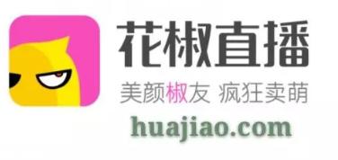一直在战斗的周鸿祎,永不退场的360.com