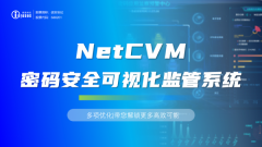 NetCVM密码安全可视化监管系统多项优化，带您解
