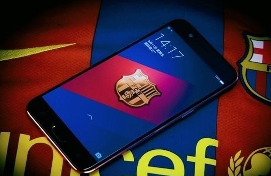 论定制只服国产 这些定制手机你要哪款