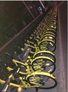 网友曝光ofo深夜投放新车 塑料膜还在车上