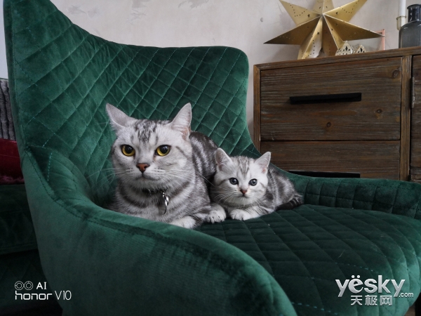 荣耀V10旗舰上手体验,用人工智能开挂吃鸡和王者荣耀的手机?