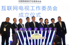  互联网电视工作委员会成立，百视通的竞合之道