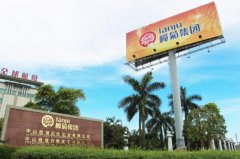 深度分销、多元发展：榄菊用实力开启企业“大日化时代”