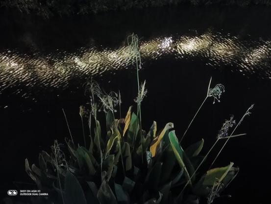 AGM X2 IP68军用级三防手机,时尚外观,超强性能!