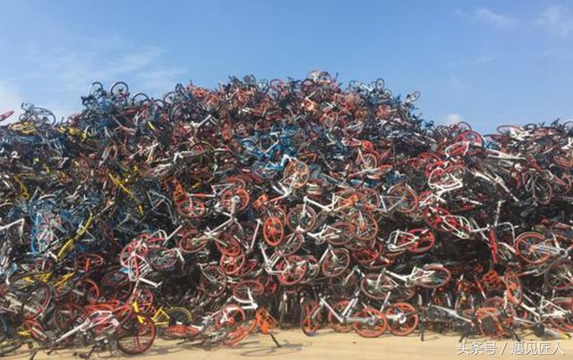 胡玮炜的情怀与摩拜单车的危机