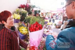 情人节撞上春节鲜花贵出新高度 一束红玫瑰要卖120元