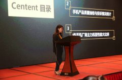 315手机质量报告出炉 揭示六大消费者关注焦点