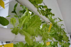  季刚播绿：给予你生活中最基础的安全感