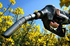 许积年教授是谁 拥有什么成就？