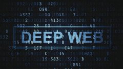 在科技领域毫无存在感的荷兰，是怎么端掉暗网窝点的