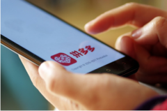 拼多多黄峥：不混“圈子”、想做科学家的另类创业者