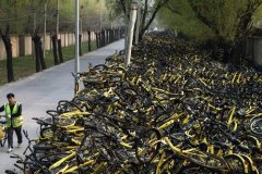 小黄车快黄了？ofo联合创始人：无稽之谈！