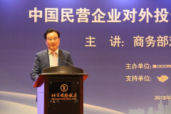 王玉印出席中国民营企业对外投资和国际经济合作报告会