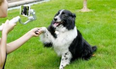 米家手持手机云台上手：599元贴心摄影助手