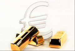 瑞中联合北京控股有限公司:强服务、抓建设,创特色