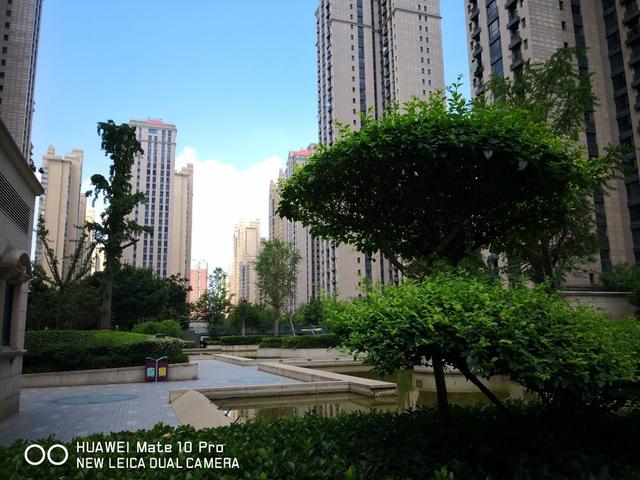 华为Mate 10系列喜迎EMUI 8.1更新 一大波拍照功能到来