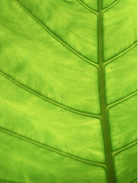 越拍越AI拍!汇威AICALL V9手机拍摄功能测评