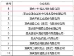 云从科技入选2018年度重庆市技术创新示范企业