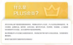 京东首次公布PLUS会员数量：在籍会员超过一千万