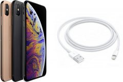 iPhone XS手机遭遇尴尬Bug：熄屏充电无效 暂时无解