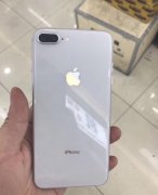 网友花4900元买iPhone8Plus，结果显示“已更换的序列号”