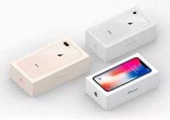 iPhone 2018财年销售2.17亿部 营收超过1600亿美元