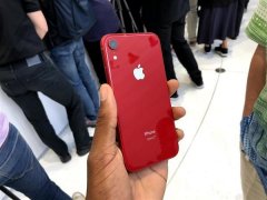 苹果股价持续走跌：iPhone XR需求低迷所致