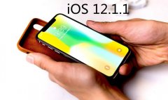 国人喜欢的这项功能将在iOS 12.1.1正式版中取消