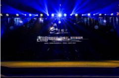 2018网络安全“金帽子”年度领先安全企业大奖花落知道创宇