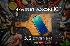 曲面屏窄下巴 中兴AXON 10 Pro 5月6日发布