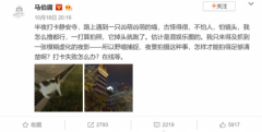 @不会拍照星人，这份避免打卡失败的秘籍请查收！