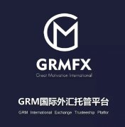 【GRMFX】浅谈GRM外汇的风险，怎么去把控?