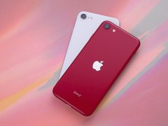 3299元起 iPhone SE的核“芯”竞争力是什么？官方作答