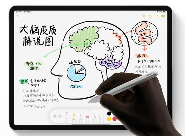 传闻Apple Pencil的延迟将降低到3ms，这让三星平板最新的升级显得黯然失色