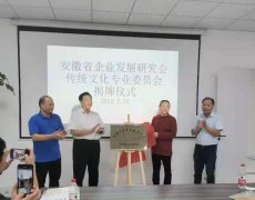 安徽省企业发展研究会传统文化产业委员会在肥